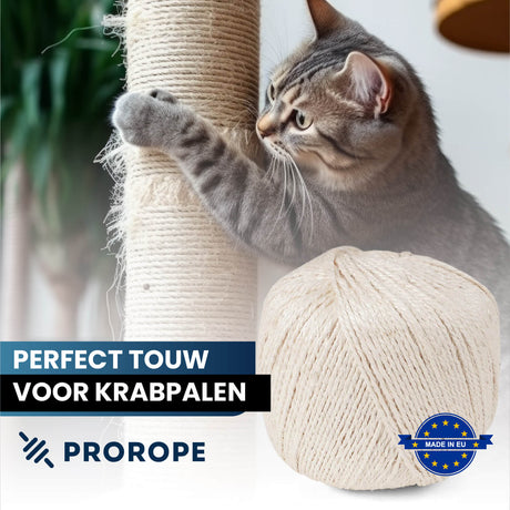 Alles wat je moet weten over krabpalen: Materialen, touw en veiligheid