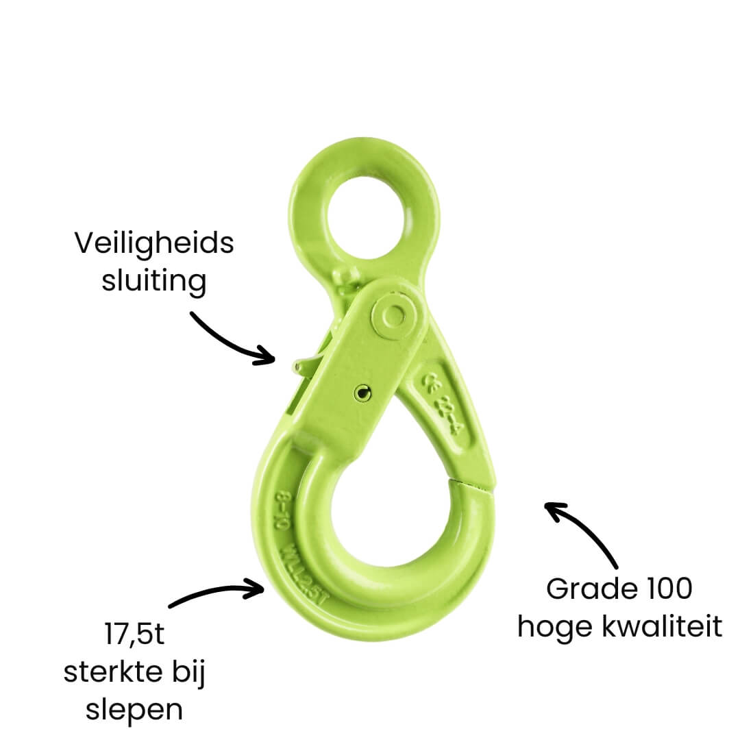 Veiligheidshaak met oog - WLL 2500 kg