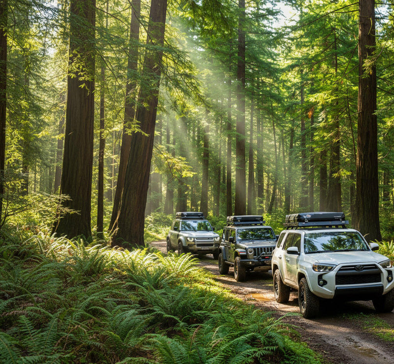 4x4 & Offroad