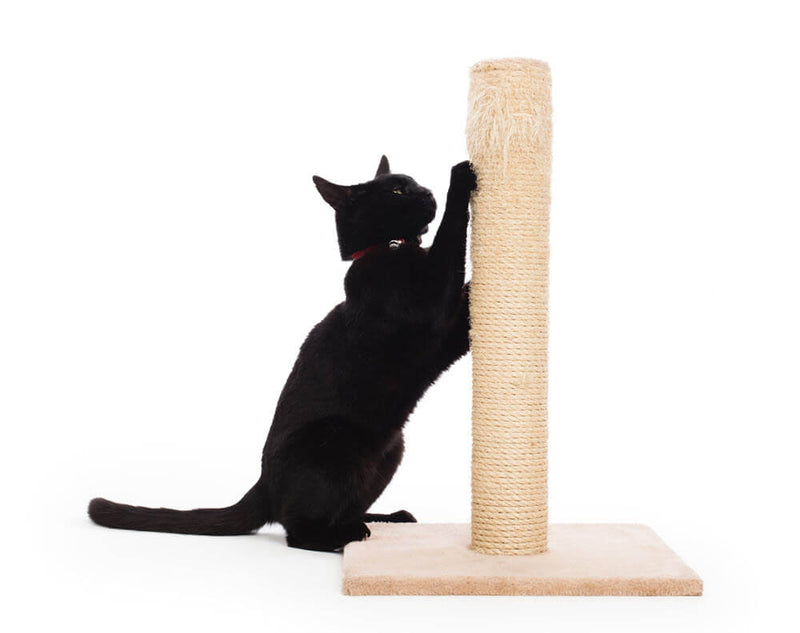 Kattenkrabpaal